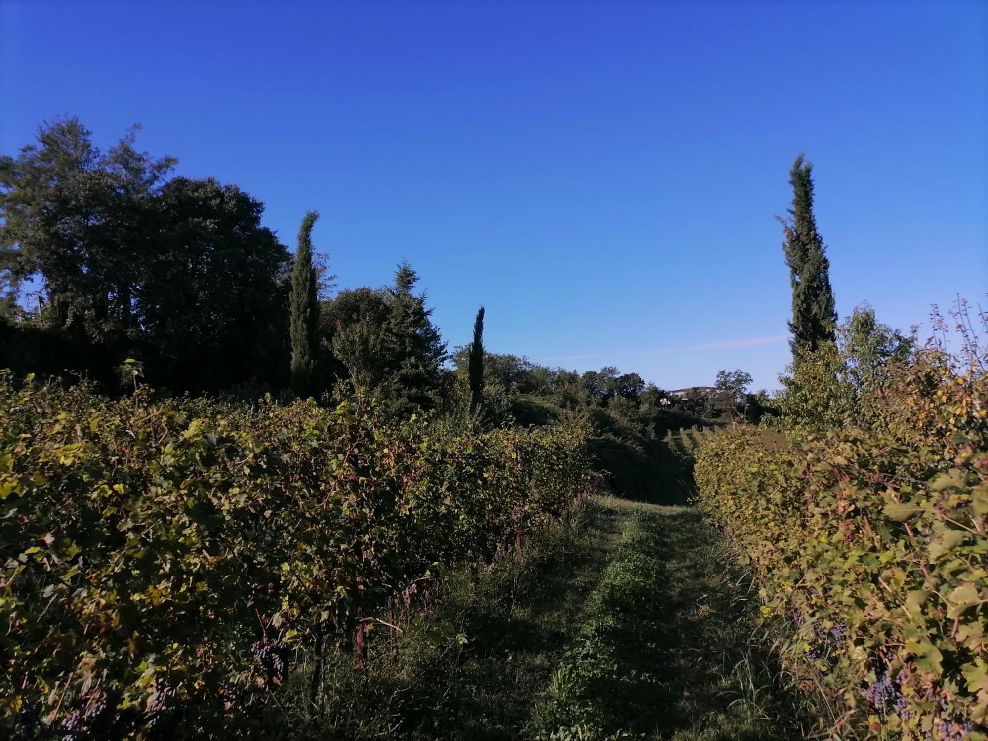 Relais Ca' Morenica Valeggio sul Mincio Bagian luar foto