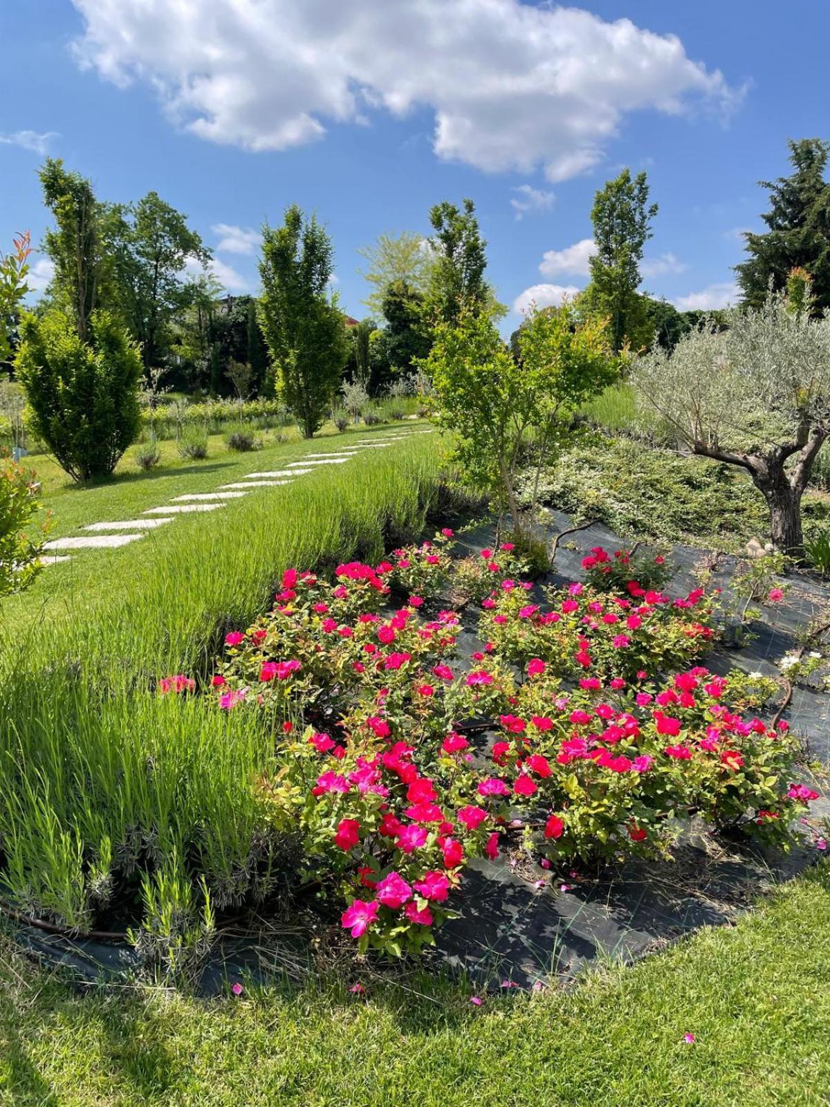 Relais Ca' Morenica Valeggio sul Mincio Bagian luar foto