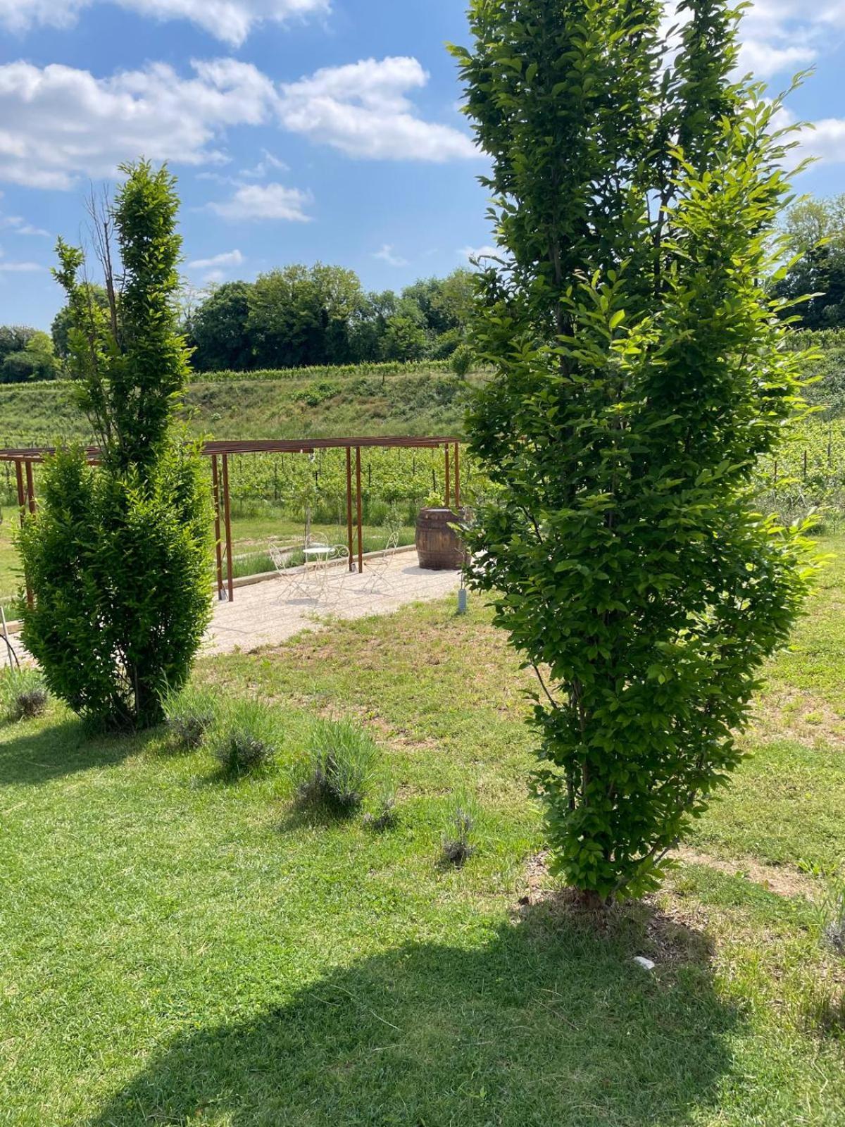 Relais Ca' Morenica Valeggio sul Mincio Bagian luar foto